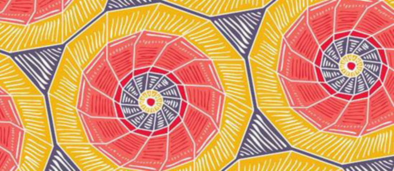 indigenous weave banner image