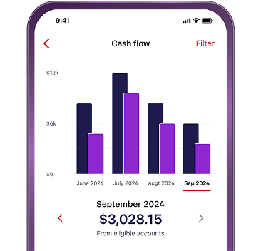 Cash flow feature in the app