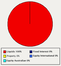 chart showing the typical investment mix associated with the cash risk profile