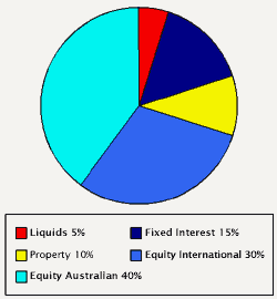 chart showing the typical investment mix associated with the high risk profile