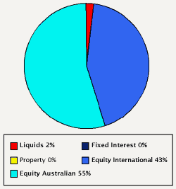 chart showing the typical investment mix associated with the very high risk profile